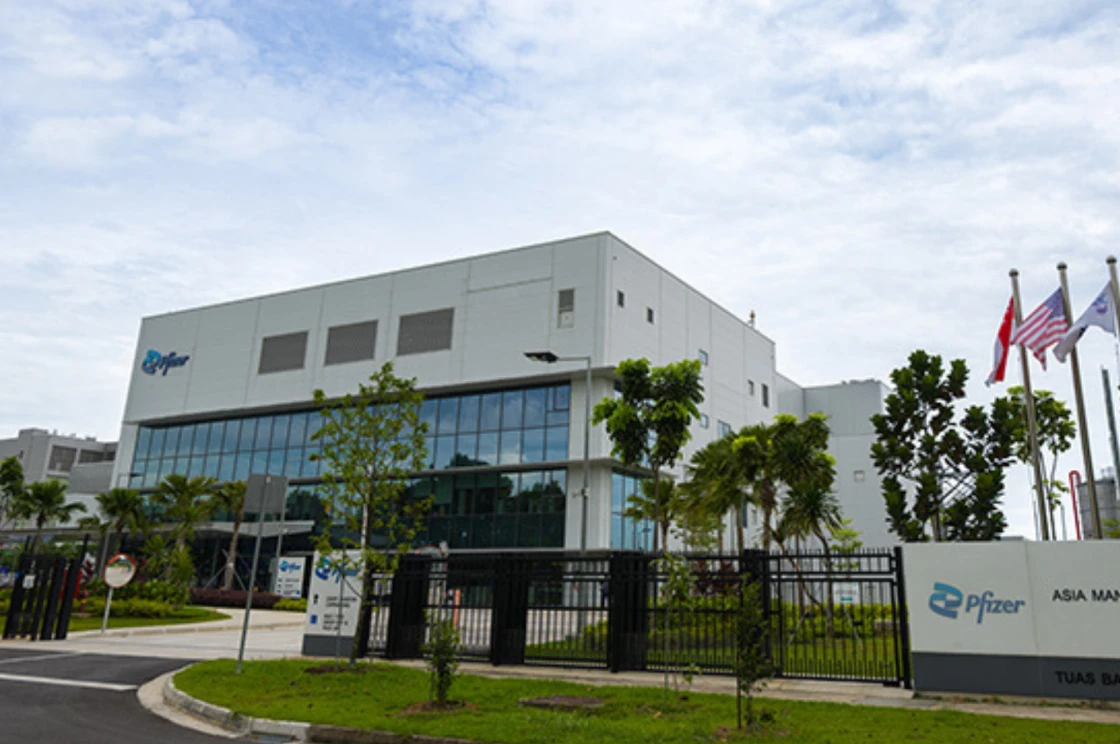 PFIZER API FACILITY EXTENSION (TUAS 2)